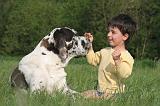 ENFANT ET CHIEN 542